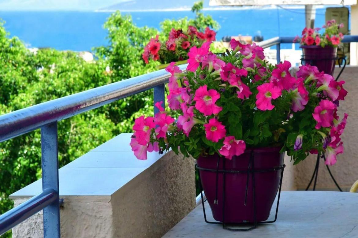Konstantinos Apartments 托隆 外观 照片