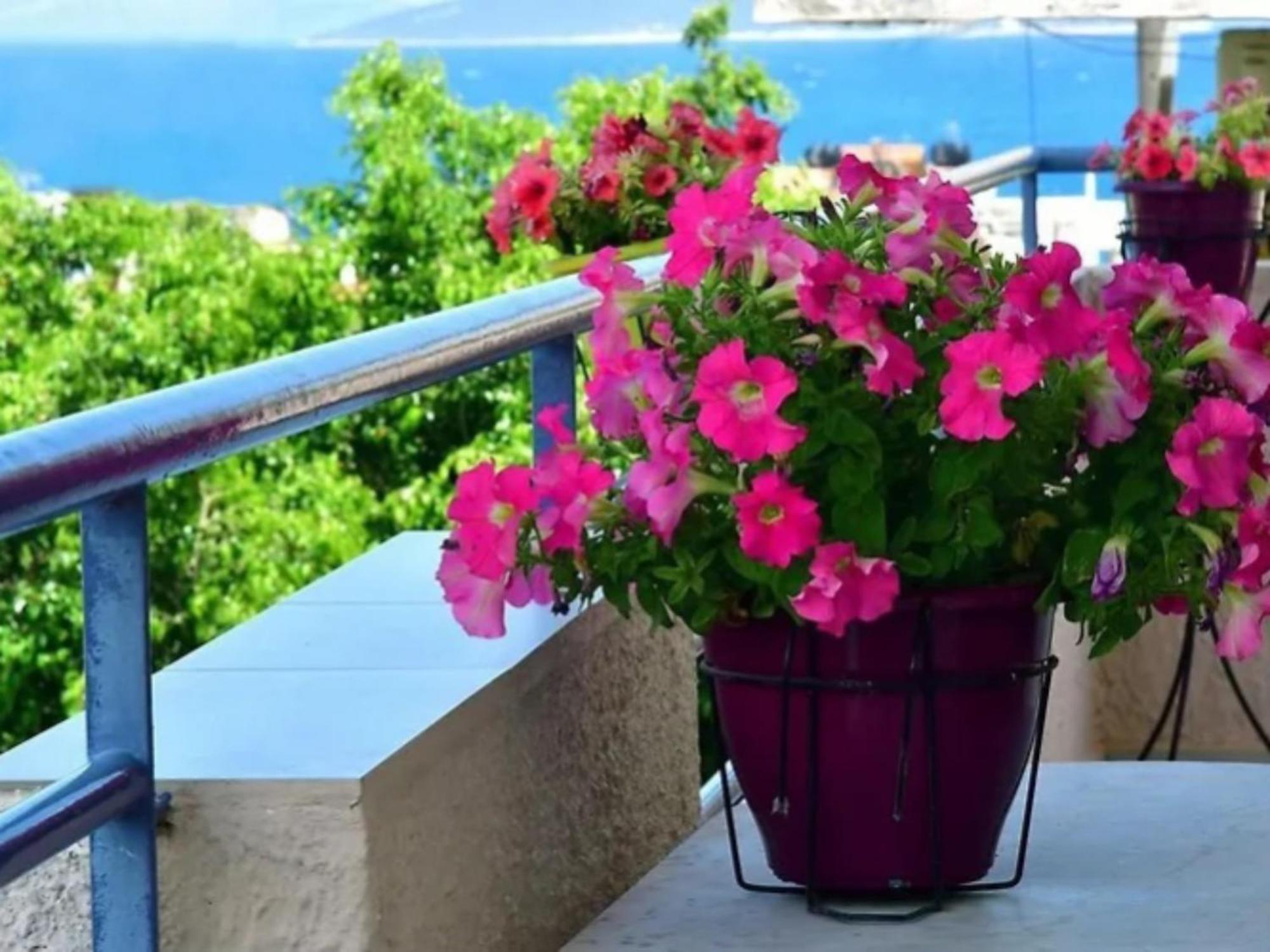 Konstantinos Apartments 托隆 外观 照片
